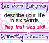 6 Word Saturday Button