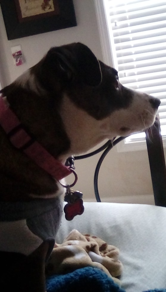 rider looking at frosty